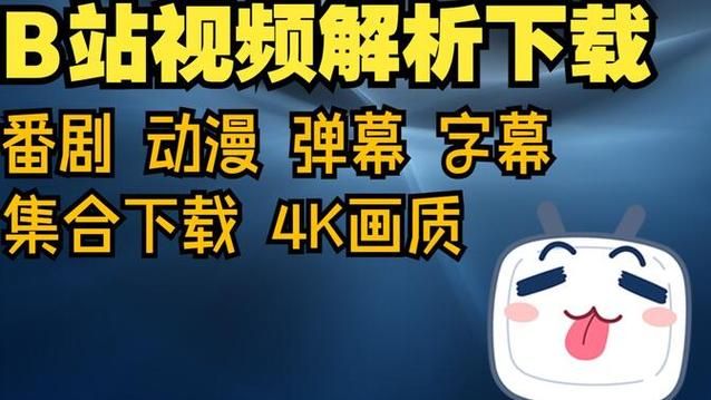 b站如何看港澳台番剧 最新教程分享给你