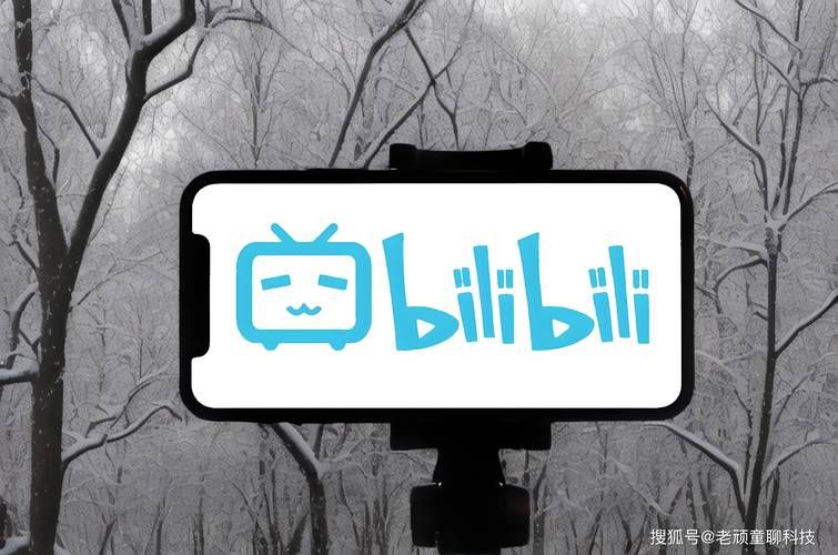 b站怎么快速升级 新手必看升级攻略分享