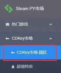 cdkey是什么东西 购买时要注意哪些问题
