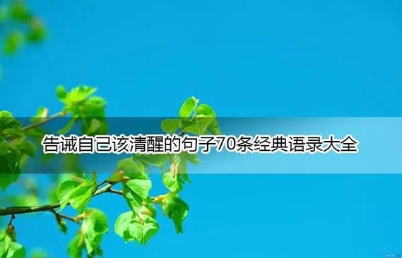 cf战队宣言大全2024 这些经典语录值得收藏