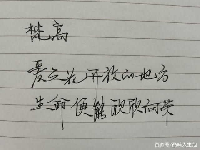 cf战队宣言大全2024 这些经典语录值得收藏