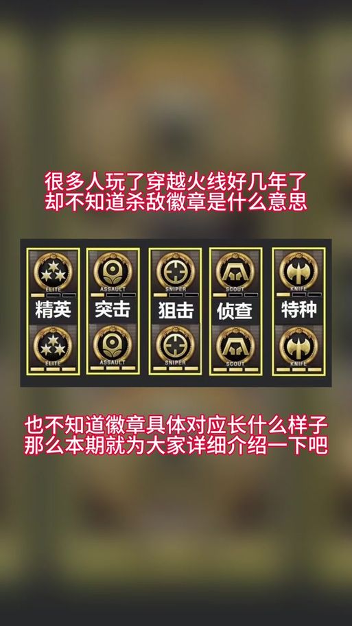 cf生化杀敌图标怎么换 自定义图标设置教程