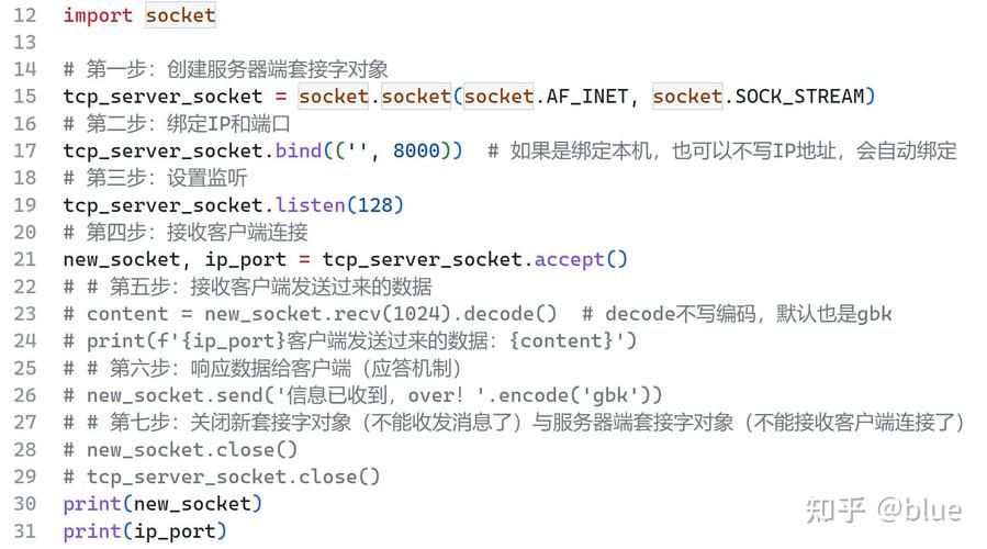 codex怎么用 新手入门教程一看就会