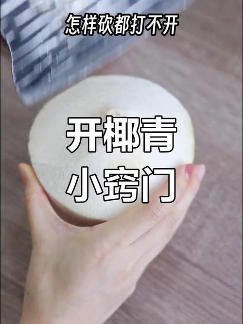dinkum椰子怎么打开 快速开椰小妙招一学就会