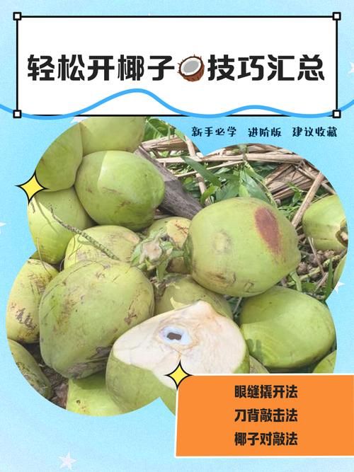 dinkum椰子怎么打开 快速开椰小妙招一学就会