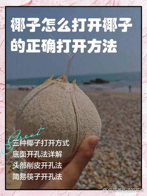 dinkum椰子怎么打开 快速开椰小妙招一学就会