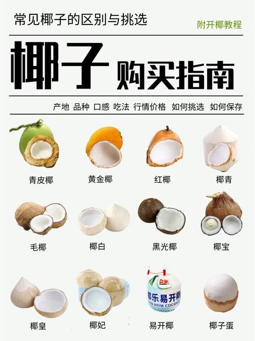 dinkum椰子怎么打开 快速开椰小妙招一学就会