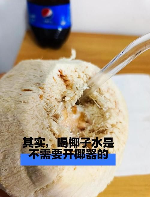 dinkum椰子怎么打开 快速开椰小妙招一学就会