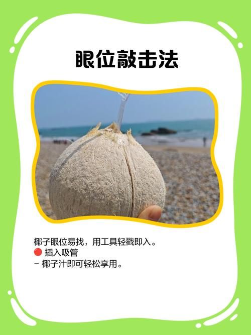 dinkum椰子怎么打开 快速开椰小妙招一学就会