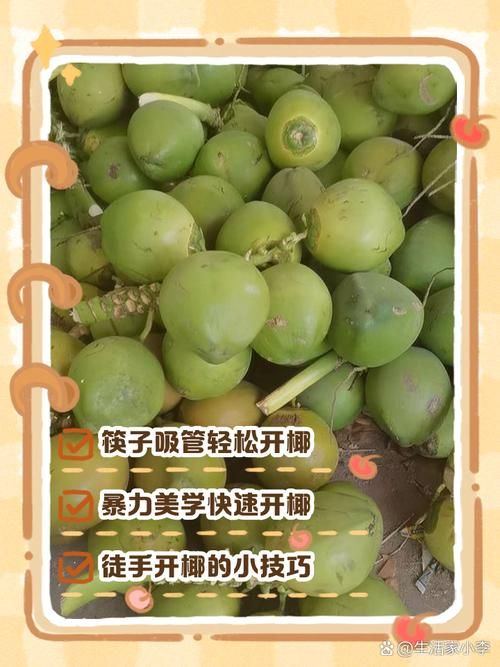dinkum椰子怎么打开 快速开椰小妙招一学就会