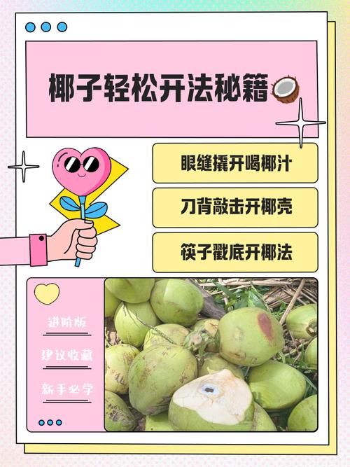 dinkum椰子怎么打开 快速开椰小妙招一学就会