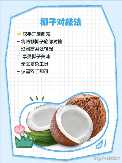 dinkum椰子怎么打开 快速开椰小妙招一学就会