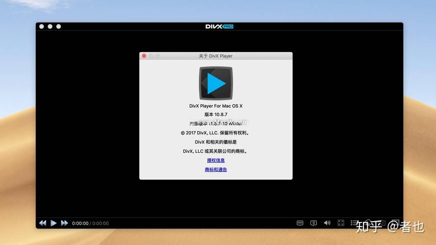 divx编解码器常见问题解答 新手必看指南