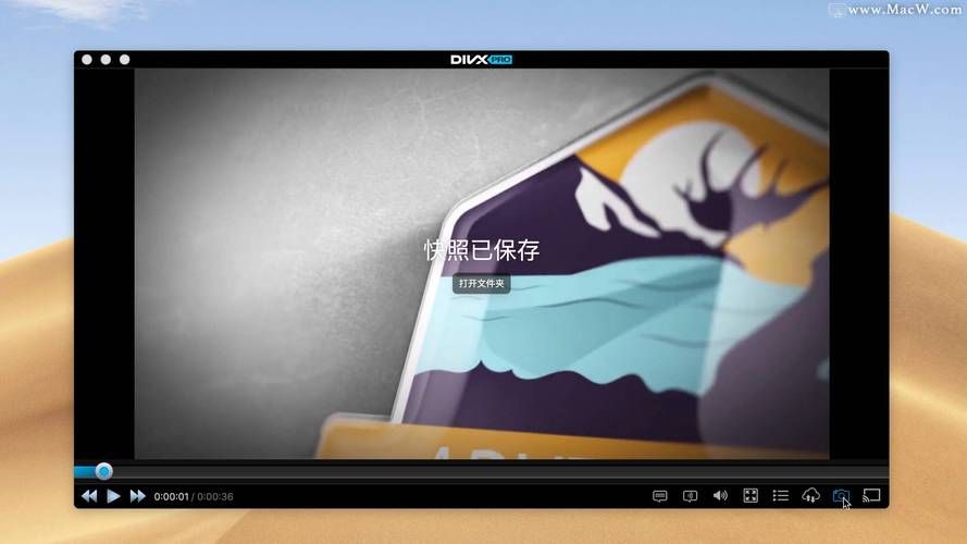 divx编解码器常见问题解答 新手必看指南