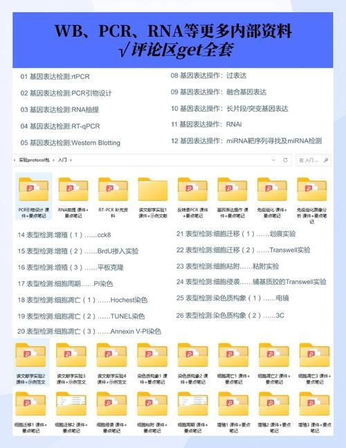 dnfqp是什么东西 简单解释dnfqp的含义与作用