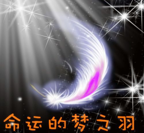 dnf命运的羽毛兑换奖励 最全物品兑换指南