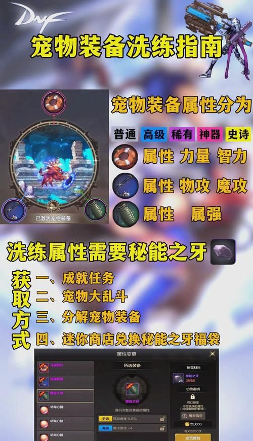 dnf宠物贝雷斯进化路线及培养技巧