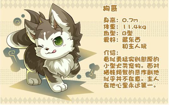 dnf宠物贝雷斯进化路线及培养技巧