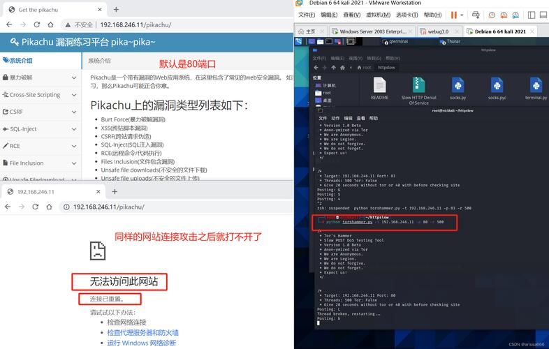 doshow官网用户评价 看看大家怎么说