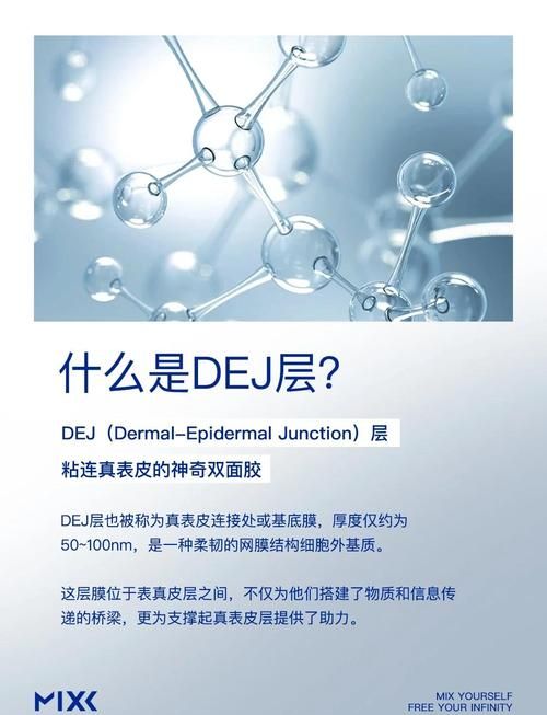egd是什么意思 新手必看的egd入门指南