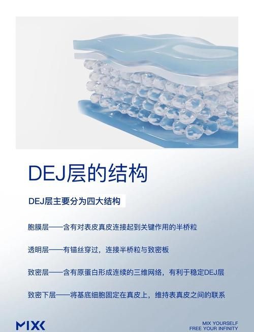 egd是什么意思 新手必看的egd入门指南