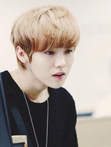 exo花美男之恋全集观看 高颜值男团甜蜜恋爱故事