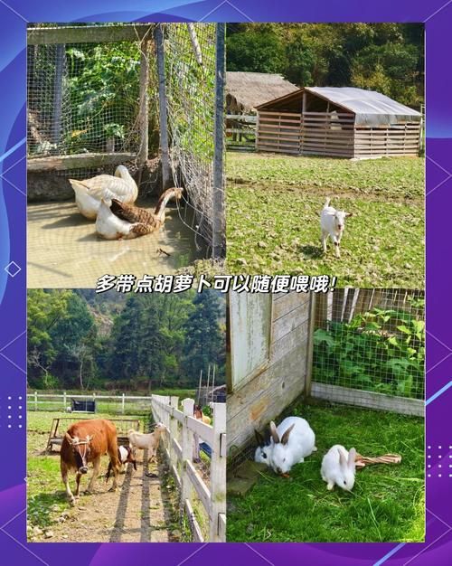 farmdale农场游戏攻略 新手必看玩法技巧分享