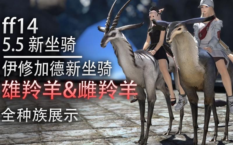 ff14幻卡坐骑哪个好 最强幻卡坐骑推荐