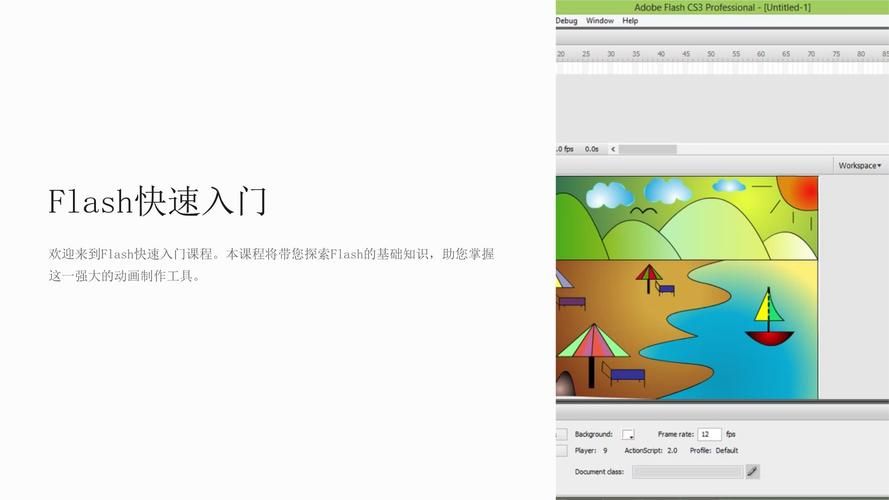 flash as是什么 初学者必看的基础知识