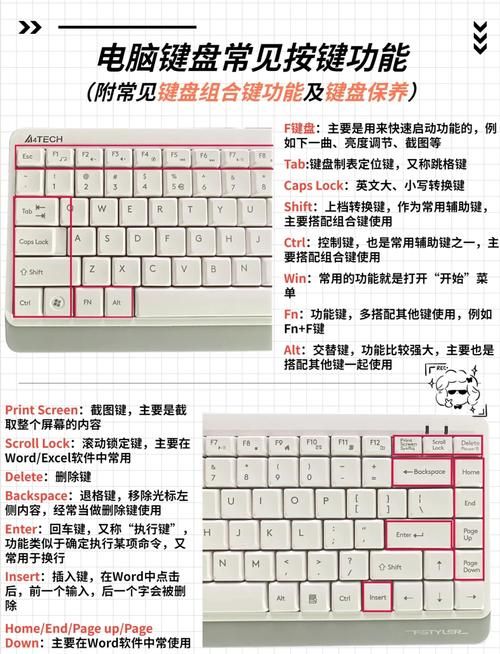 f键与功能键切换方法详解 轻松掌握键盘操作技巧