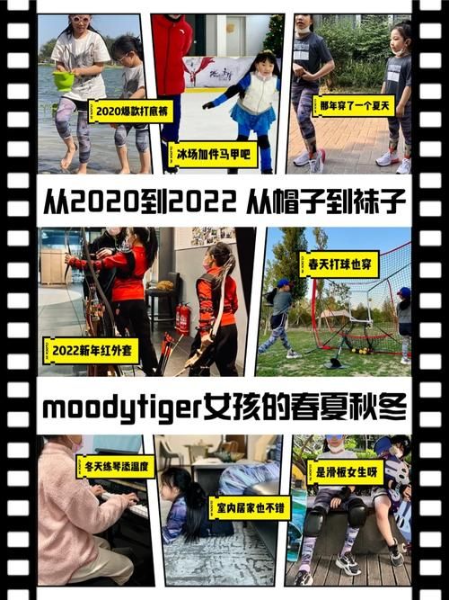 ge tiger和同类品牌对比 哪个更值得买