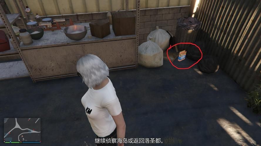 GTA5隐藏女友怎么触发 解锁条件全解析