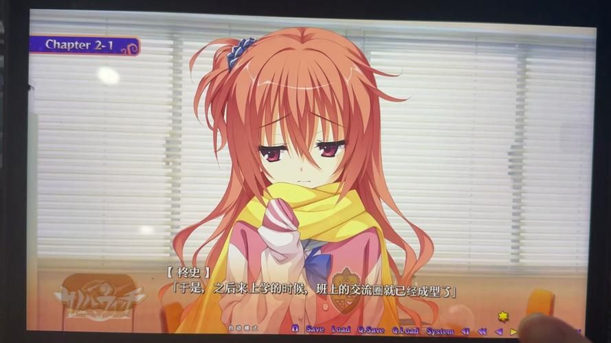 hgalgame是什么游戏类型新手必看入门指南