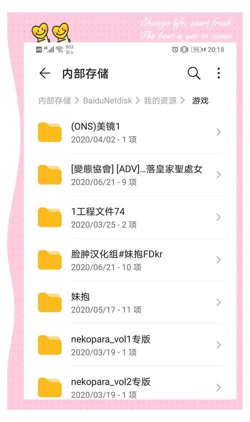 hgalgame是什么游戏类型新手必看入门指南