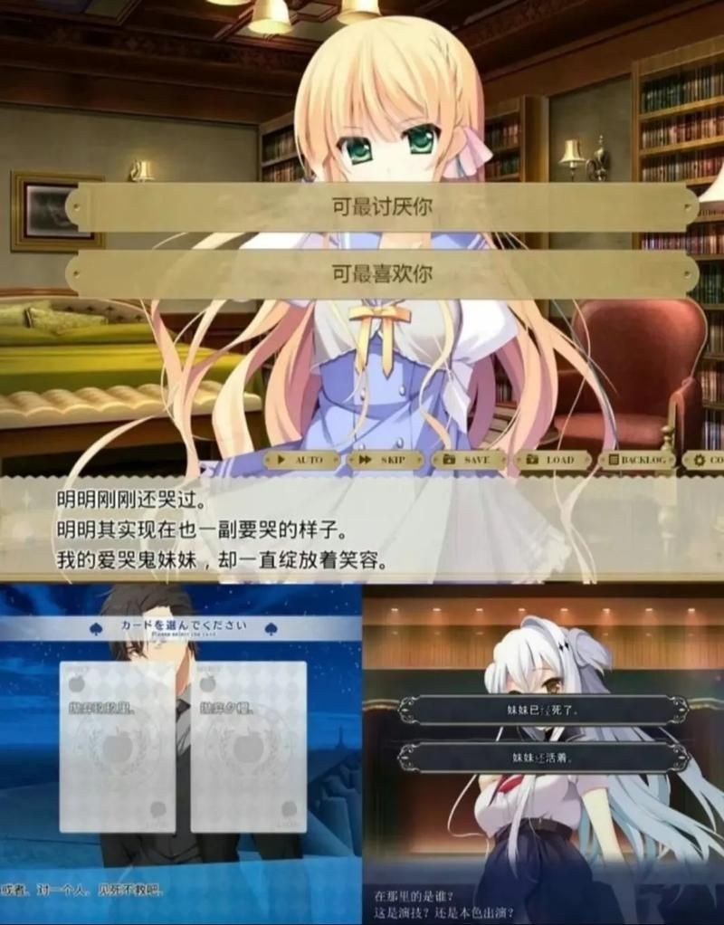 hgalgame是什么游戏类型新手必看入门指南