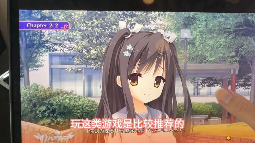 hgalgame是什么游戏类型新手必看入门指南