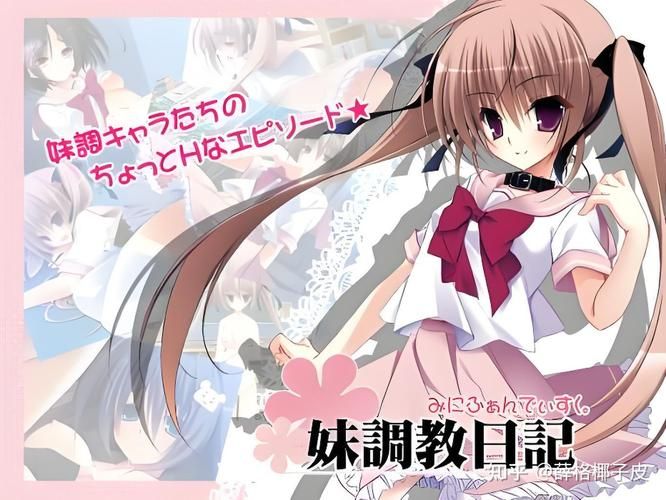 hgalgame是什么游戏类型新手必看入门指南