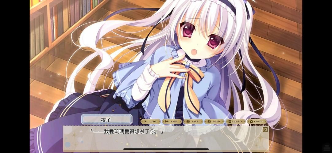 hgalgame是什么游戏类型新手必看入门指南