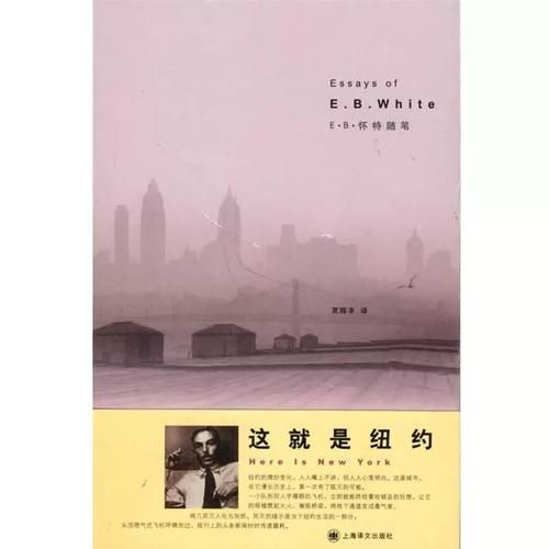 icelight是什么揭秘这款神奇产品的真实用途
