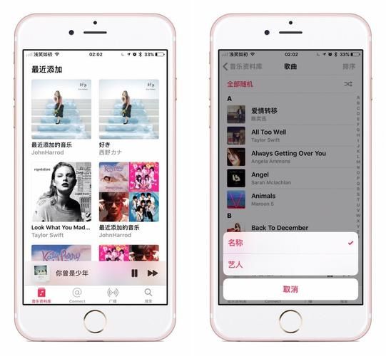 iTunes 9使用技巧大全 让你轻松管理音乐文件