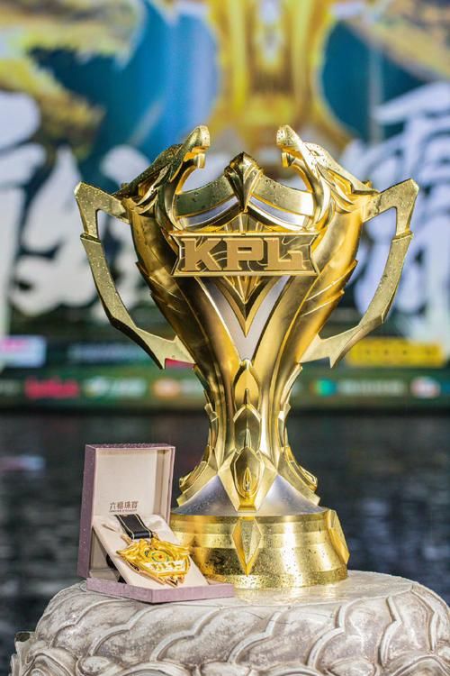 kpl冬季冠军杯奖金揭秘 职业选手能拿多少