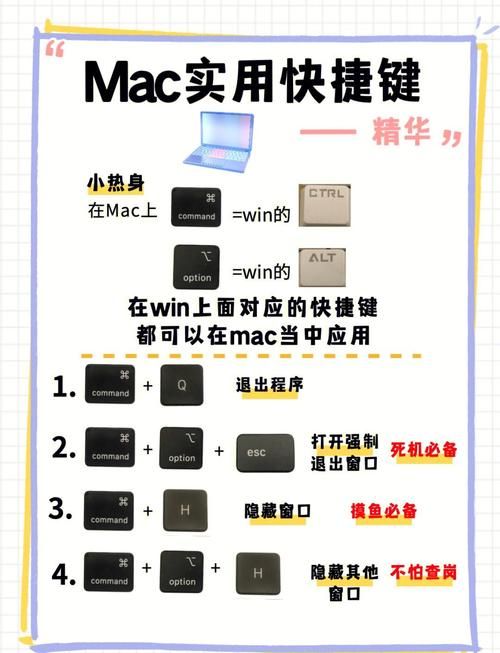 mac电脑如何使用qvod 最新版资源获取指南
