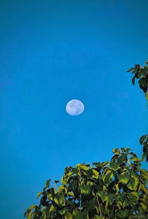 moon sky摄影构图指南 如何拍出震撼的月亮天空照