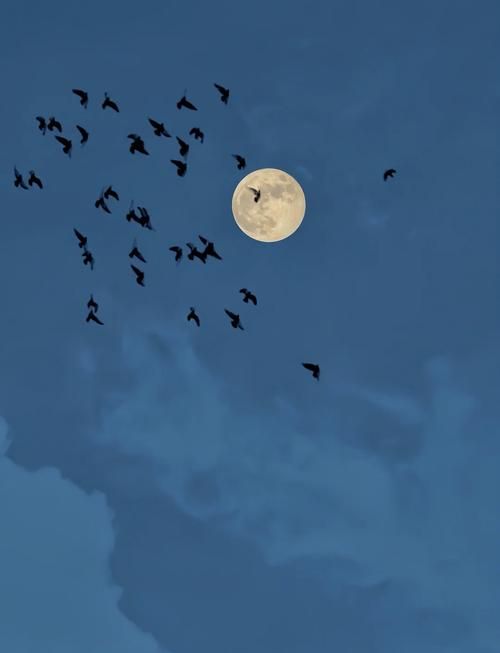 moon sky摄影构图指南 如何拍出震撼的月亮天空照