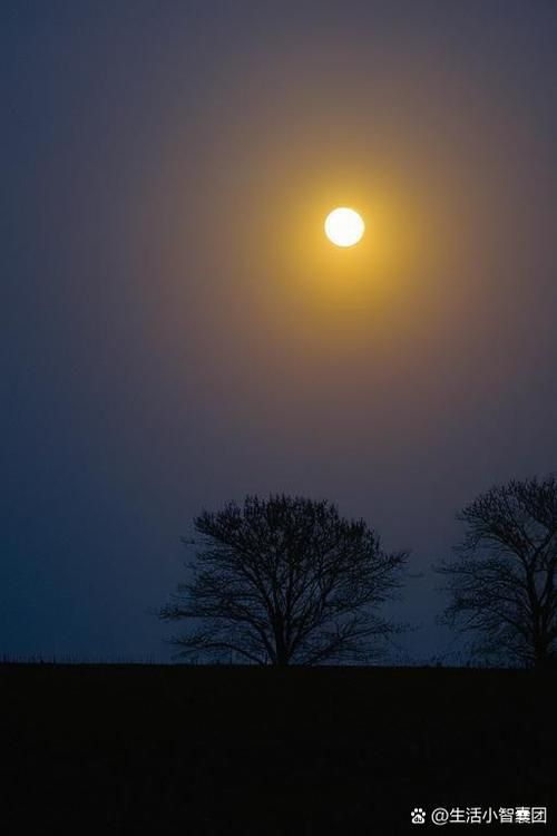 moon sky摄影构图指南 如何拍出震撼的月亮天空照