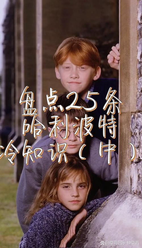 nagi sho的粉丝必收 关于他的十大冷知识盘点