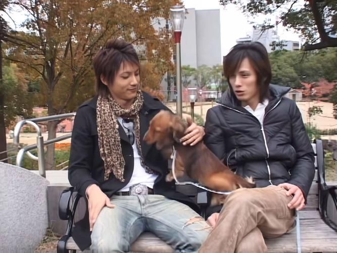 nagi和sho是谁 他们的故事为何这么火