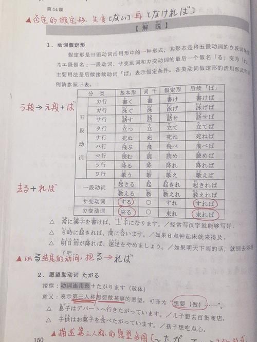 nanami日语入门教程 快速提升你的日语水平