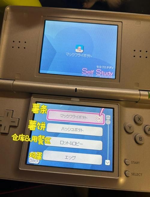 nds模拟器加速方法 快速提升游戏性能体验