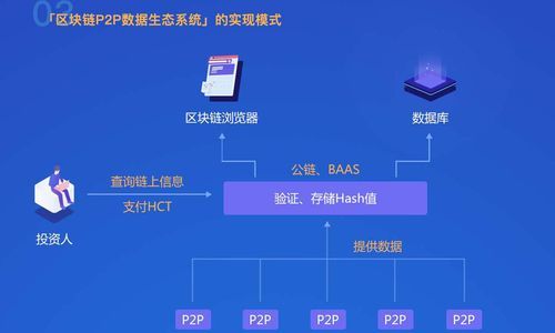 p2p网络管理员常见问题解答 新手必看攻略